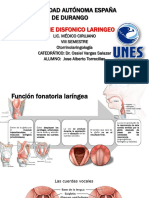 Sindrome Disfonico Laringeo