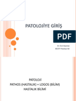 Patolojiye Giris Not