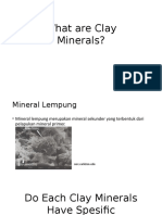 What Are Clay Minerals (Gojek)