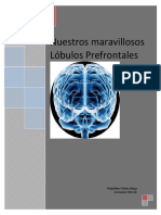236028838-Cerebro-Ejecutivo.pdf