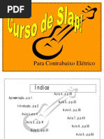 Aulas Slap.pdf