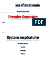 Schémas Dessinés Par Le Prof PDF