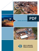 Mining and Metallurgy in Brazil