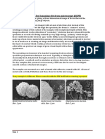 SEM Sample Preparation PDF