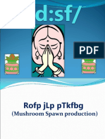 Mushroom Spawn Production