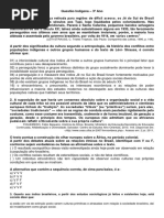 Atividades Questão Indígena