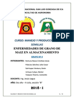 enfermedades-de-maiz-en-almacenamiento.....docx