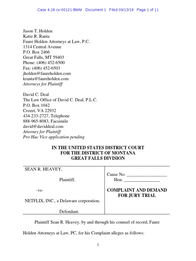 Sean Heavey Vs Netflix Copyright Law Of The United States Copyright