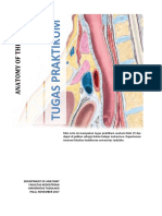 Anatomy of The Larynx