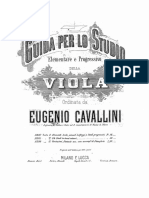 Viola Cavallini_Book_2.pdf