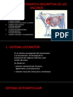 Anatomia Sistematica Descriptiva de Los Vacunos