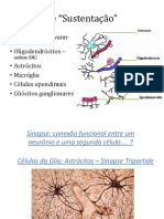 aula sinapse 2017 glauce.pdf