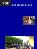 Conceptos Básicos de EIB