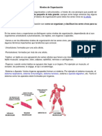 Niveles de Organización PDF