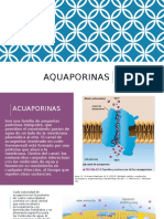 Aqua PorinaX