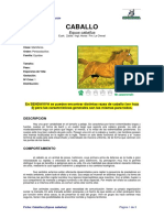 Ficha CABALLOS _equus caballus_.pdf