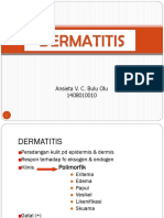 9. Dermatitis.ppt