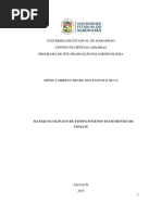 Dissertação Mônica PDF