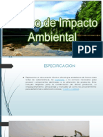 Impacto Ambiental