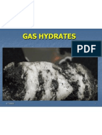 Gas Hydrates 