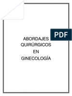 Abordaje Quirúrgico de Cirugías en Ginecología