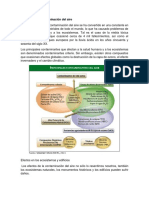 Efectos de La Contaminación Del Aire