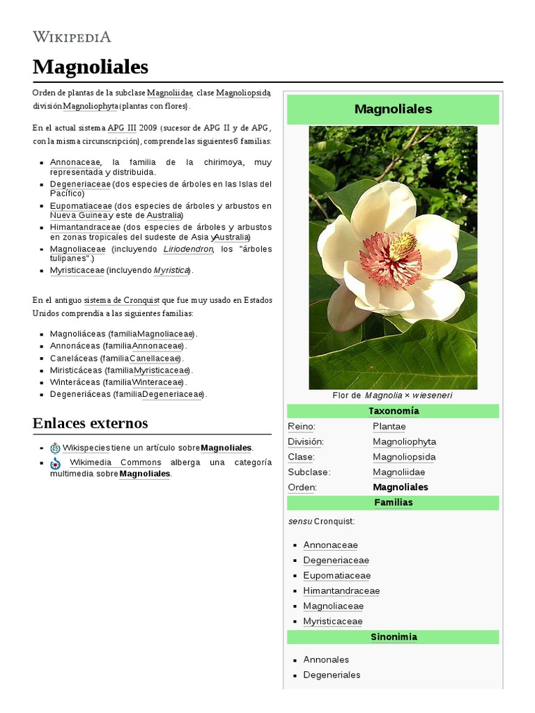 Magnolia Les | PDF | Taxonomía Vegetal | Ramas de la botánica