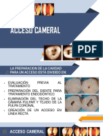 Exposición Endo