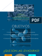 FISIOLOGIA DE LAS LEVADURAS.pdf