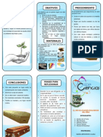 Tríptico Feria de Ciencias 2018 - Ataud