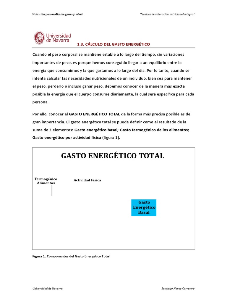 Clase 2 Calculo Del Gasto Energético | PDF | Dieta | Alimentos