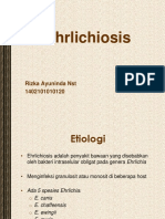 1. Ehrlichiosis (Rizka Ayuninda)