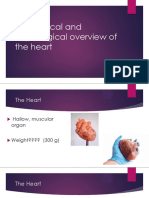 Anatomical and Physiological Overview of The Heart