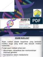 BIOKIMIA 2 (Asam Nukleat)