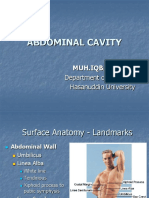 Abdomen Cavity