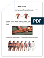 Anatomía Humana: Estudio de la Estructura del Cuerpo