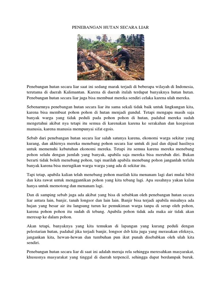 DPR Minta Tindakan Tegas Atas Maraknya Penebangan Liar di Kalbar