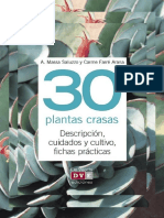 30 Plantas Crasas