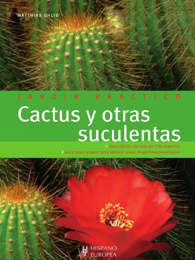 Cactus y Otras Suculentas | PDF