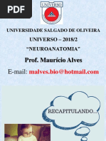 6 - Aula 6 Neuroanatomia n1