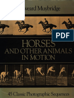 Muybridge,1985,Horses and Other Animals in Motion.pdf
