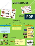 Unit 1 Invertebrates 1 PDF