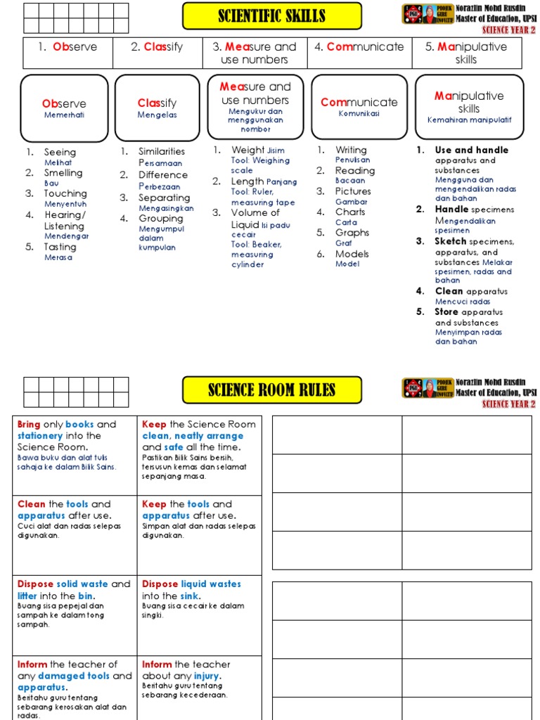 Year 2 Science: Human & Animal Reproduction | PDF