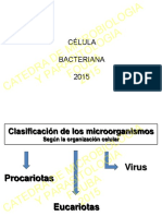1. Celula Bacteriana.pdf