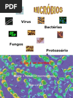 MICRÓBIOS