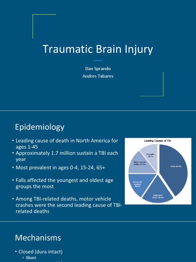 Understanding Traumatic Brain Injury | PDF | Traumatic Brain Injury ...