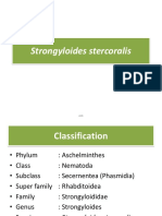 K2 - Strongyloides Stercoralis