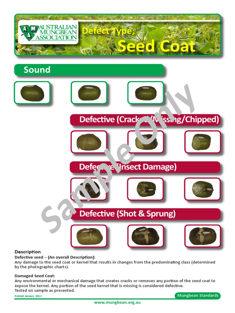 Mungbean Seed Defect Standards Guide | PDF | Nature