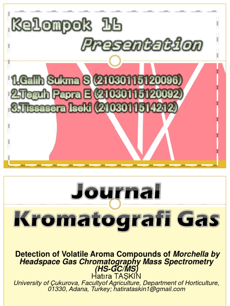 Kelompok 16 Jurnal Kromatografi Gas PDF