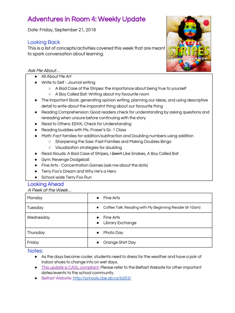 Weekly Update: Room 4 Activities | PDF